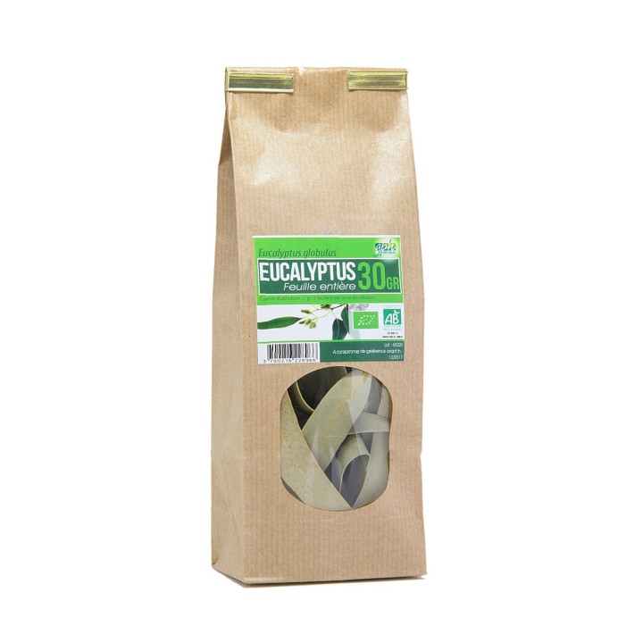 Eucalyptus