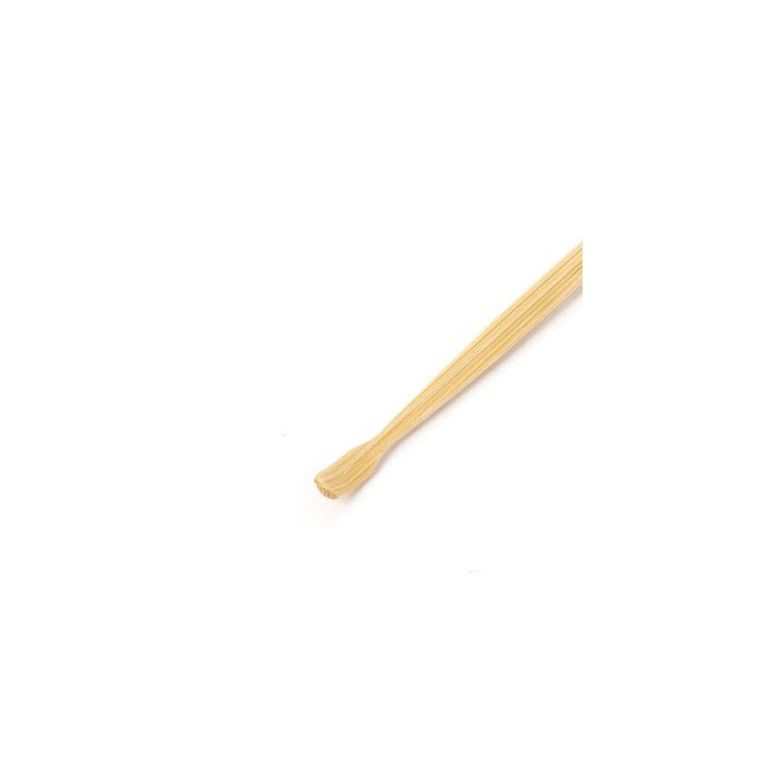 Brosse à dents en Bambou