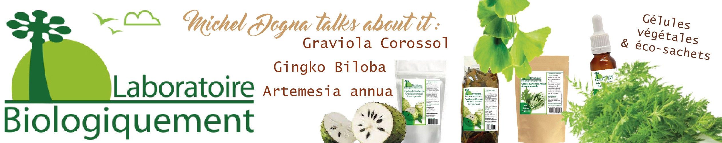 Michel Dogna recommends Artmesia annua, Graviola corrosol and Gingko biloba! Order directly in France at no additional cost for Europe.